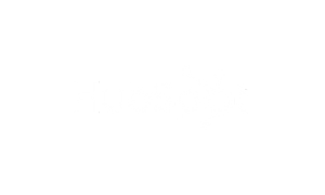 hubspot (1)