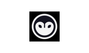 nightowl_app_logo